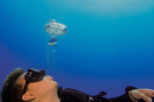 Blasenringe beim Scuba Diving