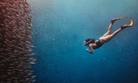 Apnoetauchen – Wissenswertes zum Freediving