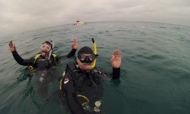 Open Water Diver Ausbildung: Die Lizenz zum Tauchen