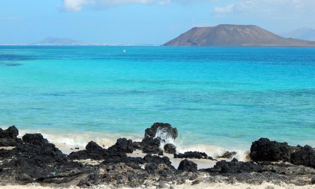 Tauchen Fuerteventura – Meereswelten im Atlantik